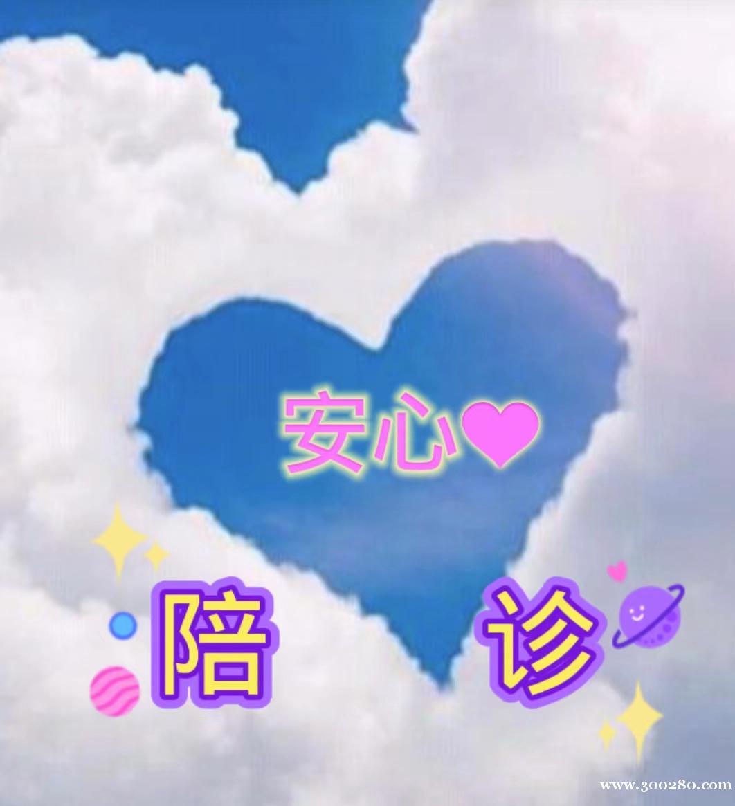 陪診員