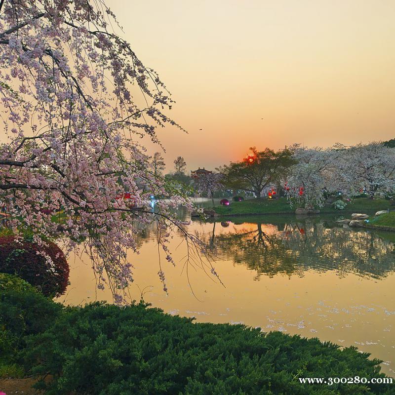 騰龍公司會(huì)員賬號(hào)怎么注冊游戲網(wǎng)址TL11650.com 騰龍公司會(huì)員賬號(hào)怎么注冊游戲網(wǎng)址TL11650.com