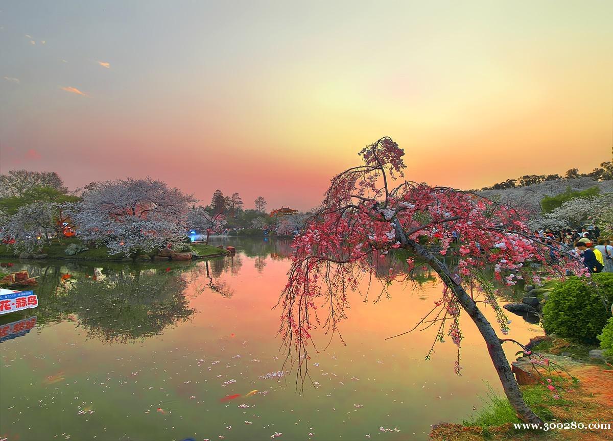 騰龍公司會(huì)員賬號(hào)怎么注冊游戲網(wǎng)址TL11650.com 騰龍公司會(huì)員賬號(hào)怎么注冊游戲網(wǎng)址TL11650.com