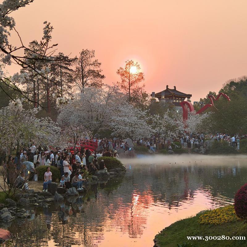 騰龍公司會(huì)員賬號(hào)怎么注冊游戲網(wǎng)址TL11650.com 騰龍公司會(huì)員賬號(hào)怎么注冊游戲網(wǎng)址TL11650.com