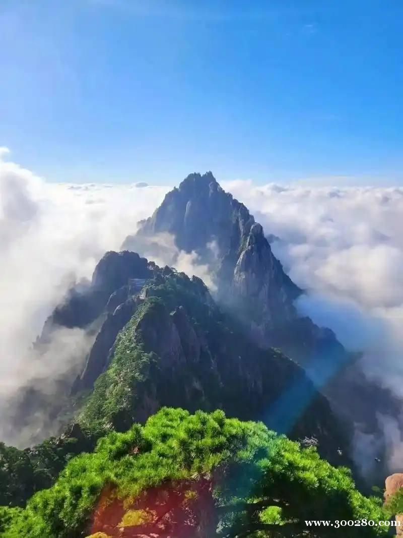 騰龍公司直屬負(fù)責(zé)人v:tltltl10 騰龍公司直屬負(fù)責(zé)人v:tltltl10