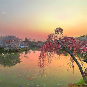 騰龍公司會(huì)員賬號(hào)怎么注冊游戲網(wǎng)址TL11650.com